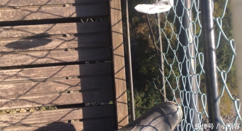  母亲|家属全责？吊桥缝隙太大2岁男童一脚踩空坠亡，母亲想拉住却没来得及
