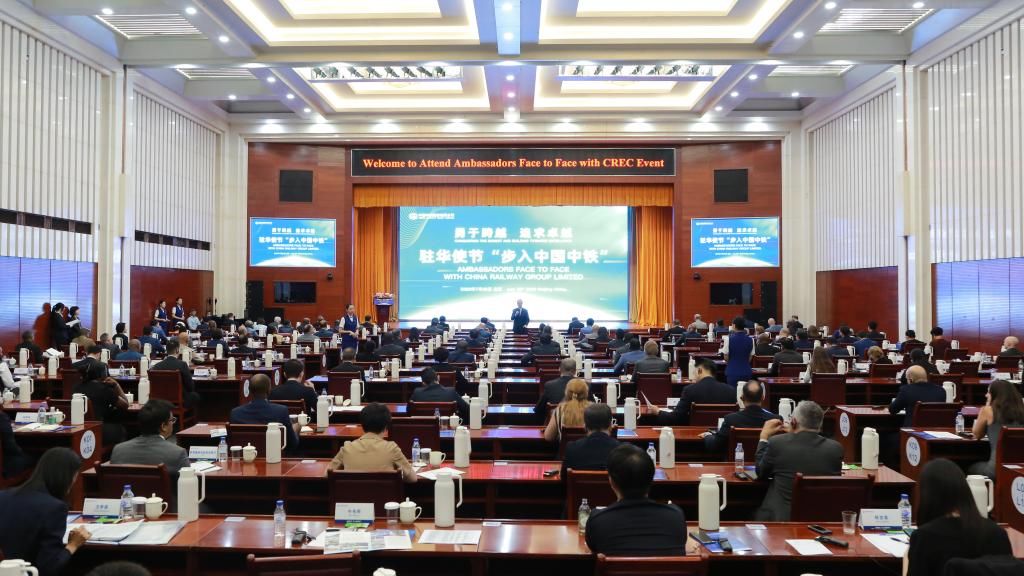 驻华使节：期待与中国企业在“一带一路”框架下不断深化合作