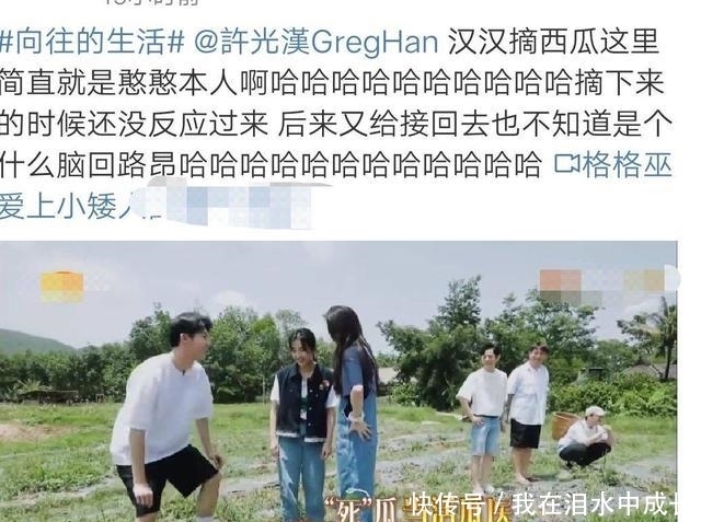 粉丝|《向往的生活》翻车,许光汉粉丝不满嘉宾安排,网友:替他尴尬
