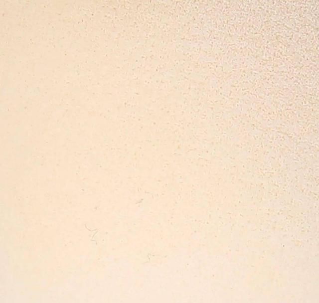  测评|美妆蛋PK：168块的就这点好用！