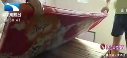  情侣|床下有人……情侣房中遭遇惊魂一刻，居然从床下抓出一“君子”