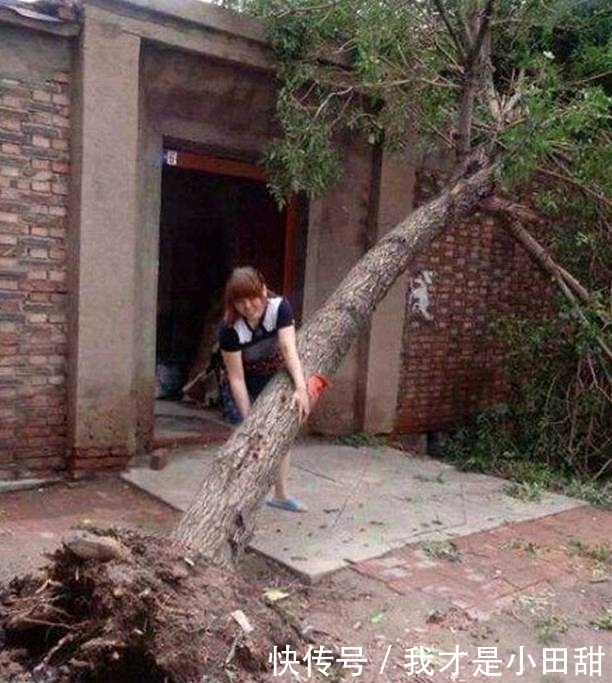 力气|搞笑图片幽默段子笑话:妹子,你力气不小啊,树被你拔起来了啊