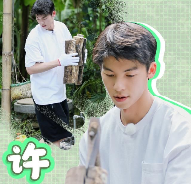  节目中|《向往》收视稳了，欧阳娜娜许光汉来袭，出场方式蘑菇屋第一人