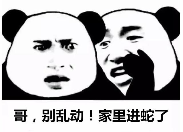  遇险|蛇潜进厦门一居民家，小兄弟俩遇险！两波救兵赶到，上演教科书式驱蛇