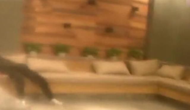  从来不|小伙频繁出入高档会所，却从来不掏钱，被抓后我就是享受