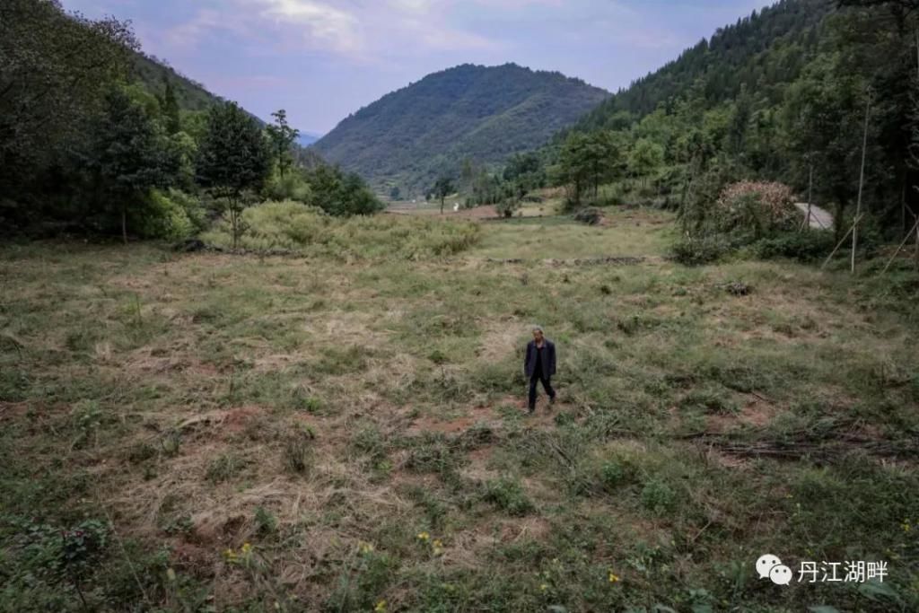 淅川|淅川脱贫档案解密:贾小民的脱贫之路