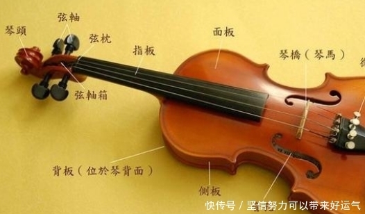 训练|精通小提琴，只要你喜欢，只要你训练得法，只要你用心刻苦，练成高水平，是完全可以的