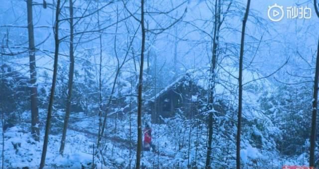  田园|梦想的力量是强大的，李子柒回归平武享受美食与田园的闲适