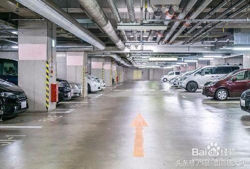 开车|日常开车如何礼貌开车？