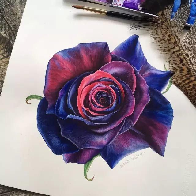  全职|一位全职妈妈喜欢疯狂画画，教你画水彩花卉