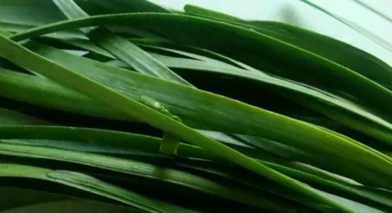  提前|早餐食谱提前安排, 一周七天不重样, 认真生活需要这样的仪式感