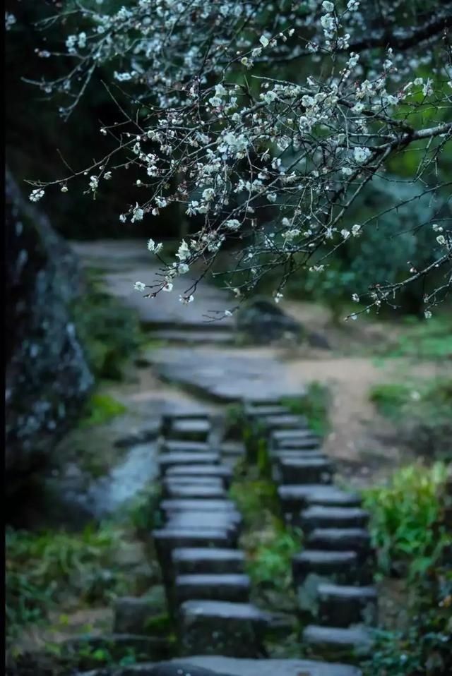  闲则能|偷得浮生，半日闲