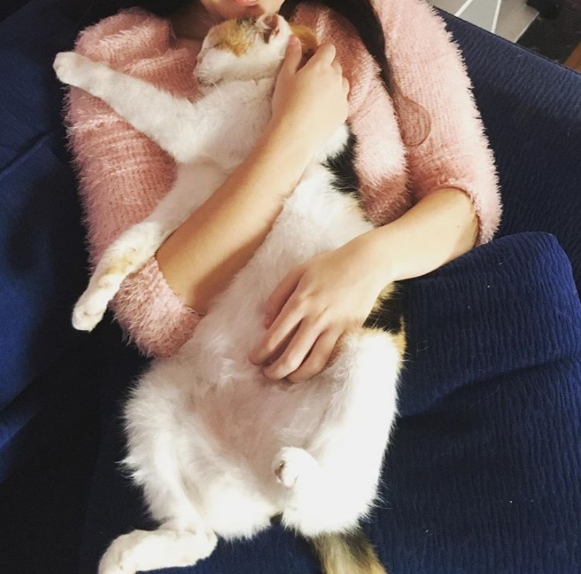 爸妈|爱猫身患癌症，女孩坚决让爸妈掏钱切它耳鼻，13年陪伴比钱重要