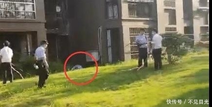 坠楼|女方要求彩礼过高，男子在凌晨坠楼身亡，采用的手段很极端