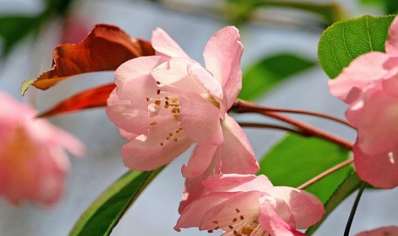 未来|未来三个月, 4属相运势大旺, 横财滚滚, 生活富贵无忧