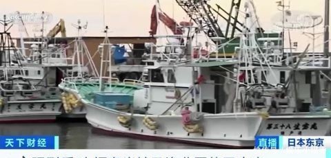 计划|日本这一计划遭强烈反对!