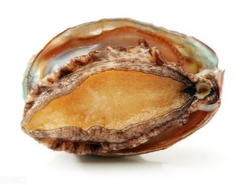 店员|吃鲍鱼时,店员问要“几头”,最好这样回答,不然会闹笑话