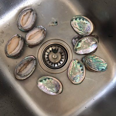 骨骼|冬天关注骨骼健康你需要这道红烧鲍鱼