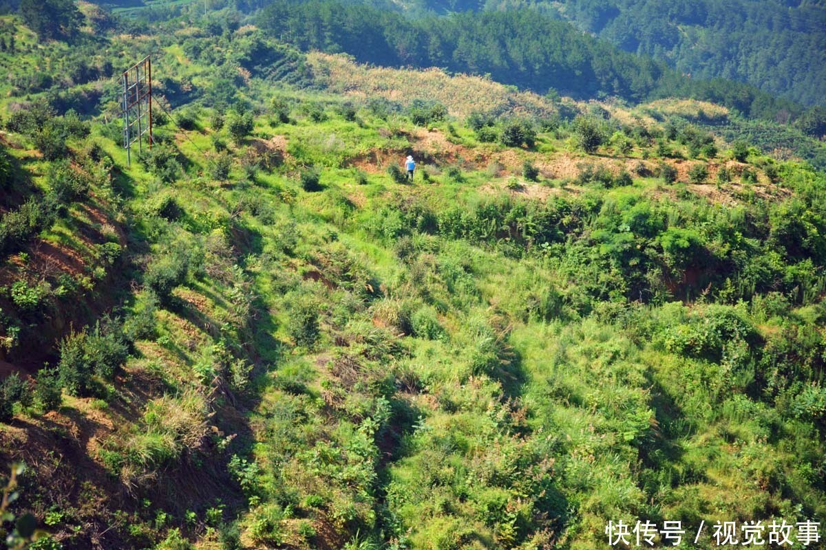 吴大叔|57岁大叔15年前突发疾病,瘫痪在床3年,看现在生活成啥样