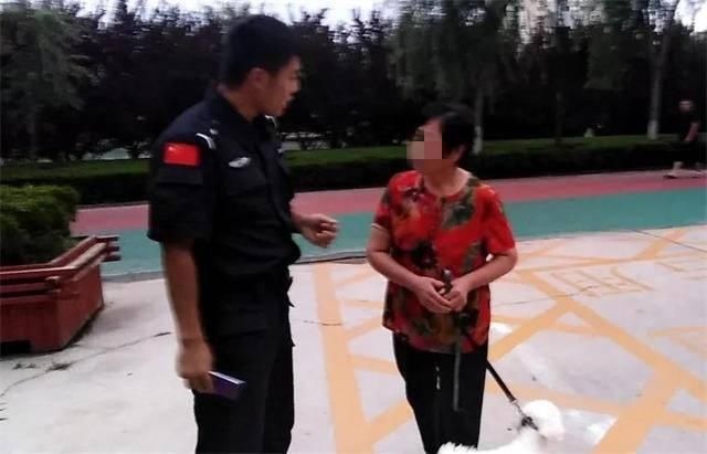 威海|在禁遛犬区域遛犬？威海文登区这些人被处罚