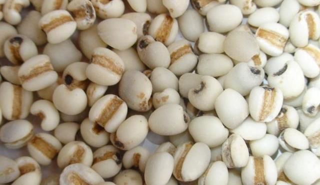 不想|女性不想满脸皱纹,多吃此物,色斑淡,湿气没了,大肚子也变平了