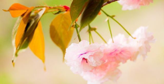 必读|发人深省的24句人生感悟句子,精辟入骨,一生必读