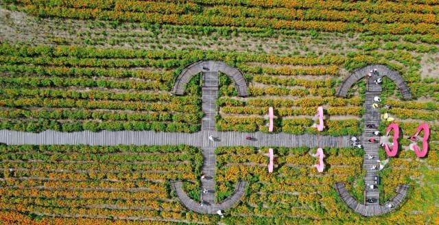 自驾游|一份颠覆你对内蒙传统印象的自驾游攻略,原来内蒙的美远不止草原