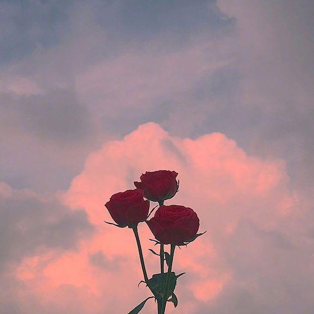 看完|乐观积极向上的唯美句子,看完让人醍醐灌顶!