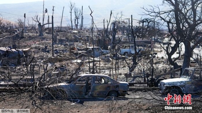 美国毛伊岛野火搜寻接近尾声：115人遇难 仍有多人失踪