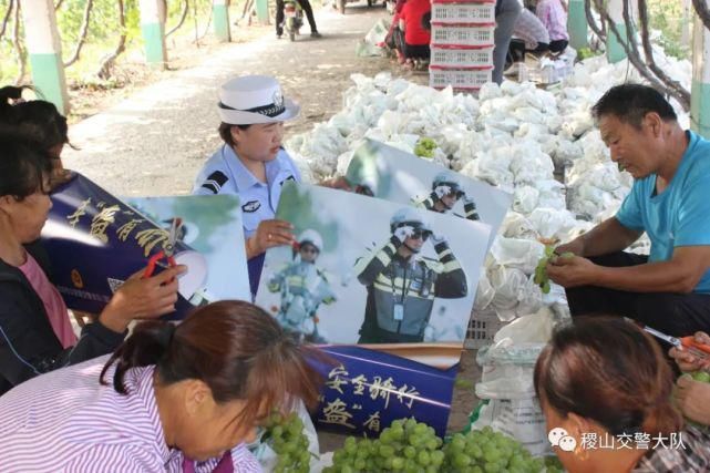 稷山|?稷山交警进葡萄园