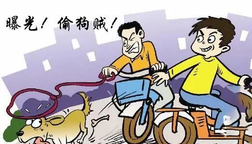  法律|宠物被“拎走”，看看法律怎么说