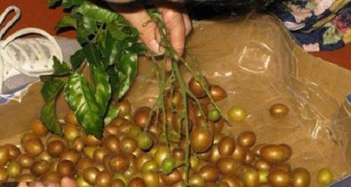  碱性|七月，遇到这碱性水果别错过，做成零食美味又健康