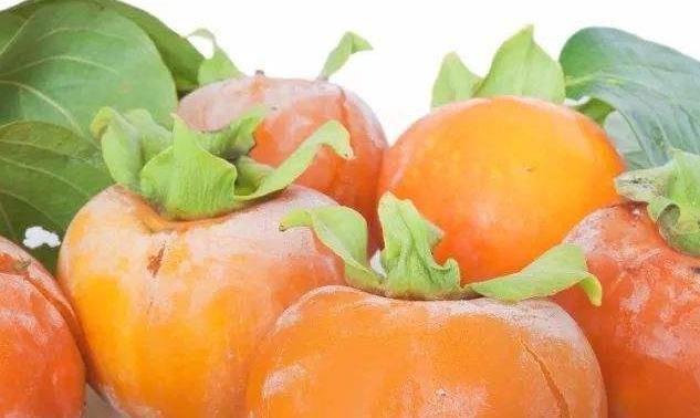 大规模|柿子大规模脱落，只因树上生白蚧，农村4条防治技术轻松搞定！