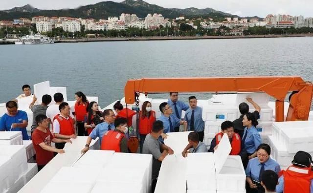  鱼苗|“走近一线检察官”直播活动：检察官见证百万鱼苗入黄海