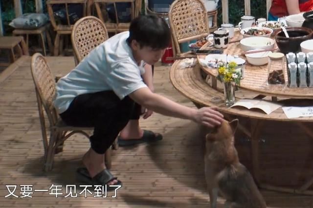  命运|泪目！《向往的生活》完美收官，彭彭一句话暗示节目第5季命运