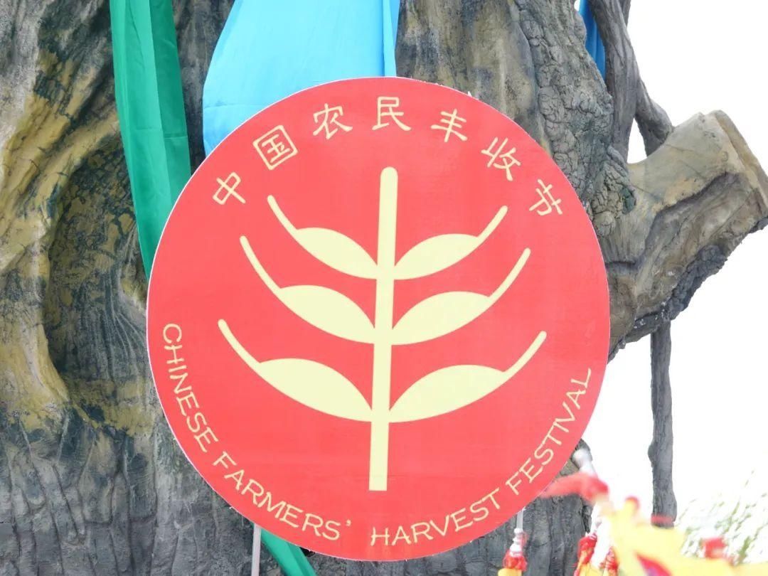 大兴安岭|兴安大地泛“金浪”，丰收的号角已吹响！