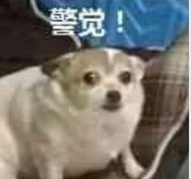 证明|求归还被拒！沪一老总错转21万欲哭无泪：怎么证明我真不是骗子