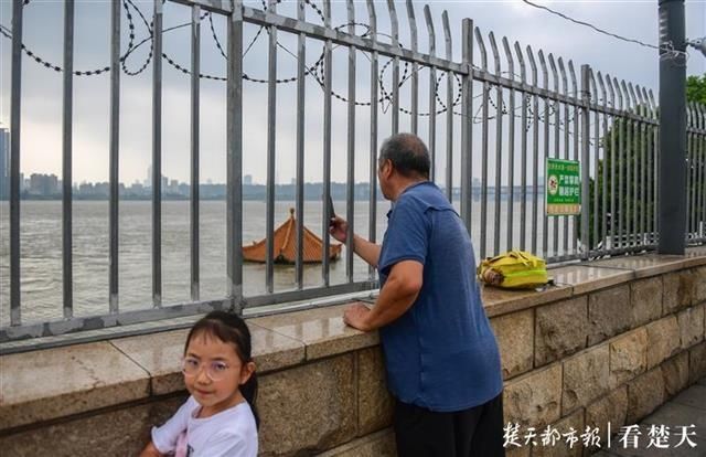  凉亭|黄花矶凉亭成“标尺”，长江水位降了