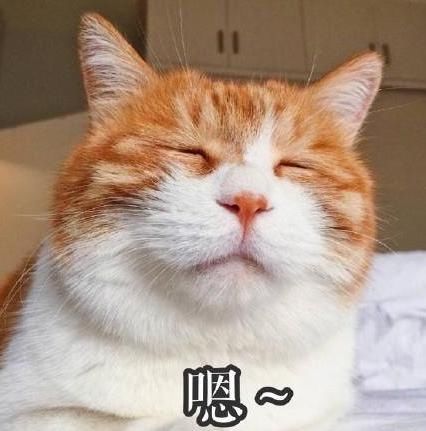  五证|限行｜“七下八上”来了，注意防范！｜这些商品房项目“五证”不全