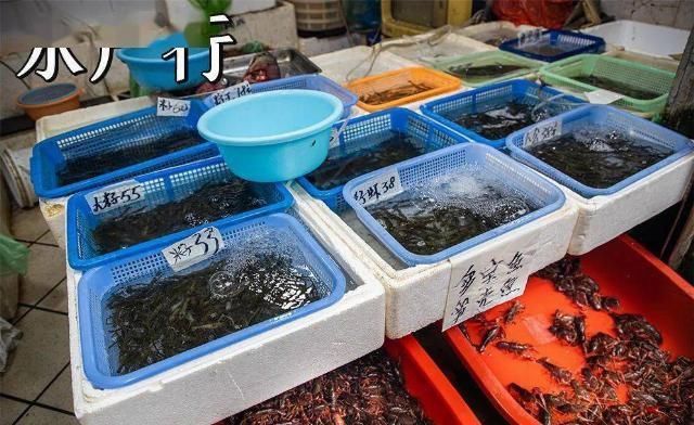 马路|回忆杀卢湾区超嗲百年马路,上海人永远记得你