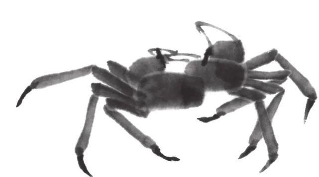  画法|怎么画鱼虾蟹蛙、写意《趣》画法