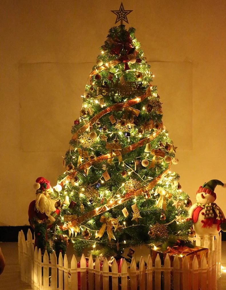  运势|心理测试：你会选哪棵圣诞树放在家里？测你近期运势如何