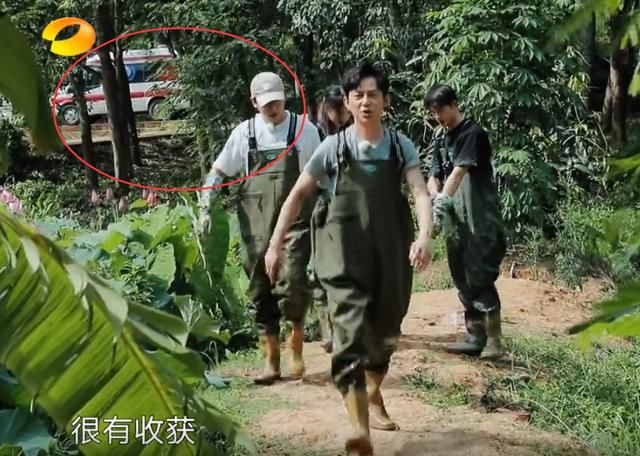  救护车|《向往》嘉宾挖藕，镜头无意间照到远处的救护车，节目组太用心了