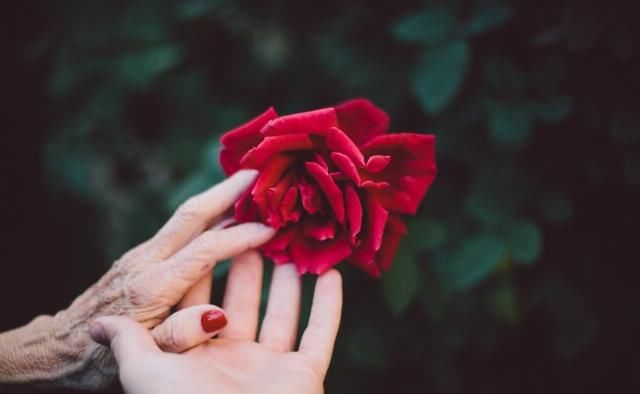  生肖属鼠|未来一个月，四大生肖良缘入命，强势脱单，牵手良人恩爱到白首！