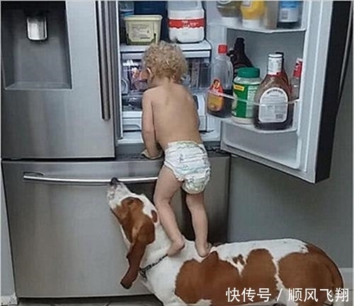  狗子|放宝宝和狗子单独在家，推开门一看不忍心打扰：太暖心了吧？
