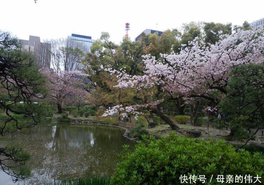 小雅|父母要彩礼女儿坚持不要，结婚该要彩礼吗？3个女人给出答案