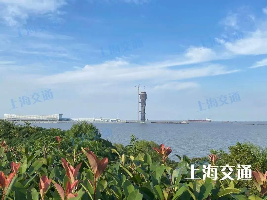 公交线|上海又一滨江岸线开放!乘这条公交线,带你直达阳光沙滩、市郊各种网红景点