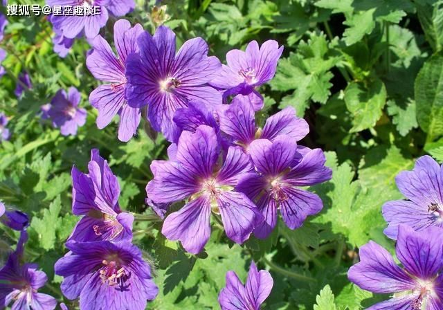  接触的时|和摩羯座能够和睦相处的三大星座