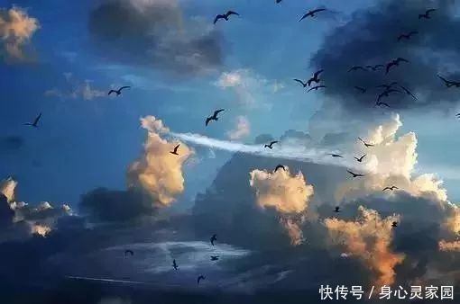 连接|九位开悟心灵导师谈:如何连接真正的美好