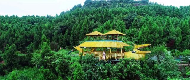  顺庆区|国庆8天哪里耍？小编带你玩转大美南充！